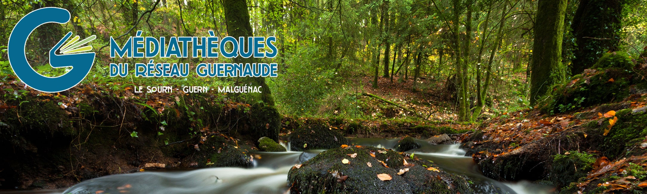 Réseau de médiathèques Guernaude