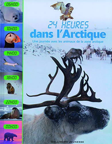 24 heures dans l'Arctique