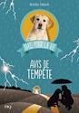 Avis de tempête