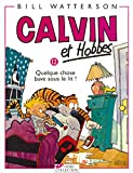 Calvin et Hobbes