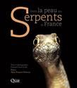 Dans la peau des serpents de France