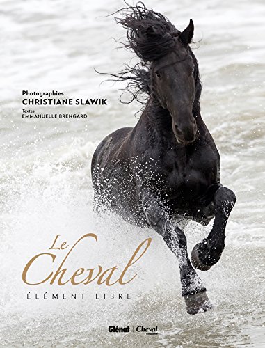 Le Cheval, élément libre
