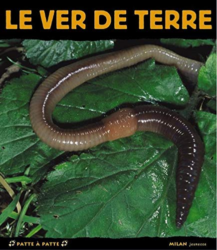 Le Ver de terre