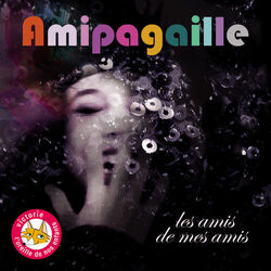 Les Amis de mes amis