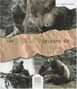 Les Quatre saisons de l'ours