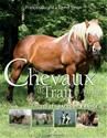 Nos chevaux de trait et attelage