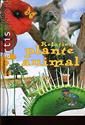 Relation plante animal