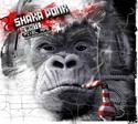 The white pixel ape