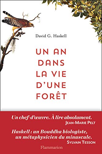 Un an dans la vie d'une forœt