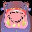 Wouhaaa ! j'ai sommeil ...